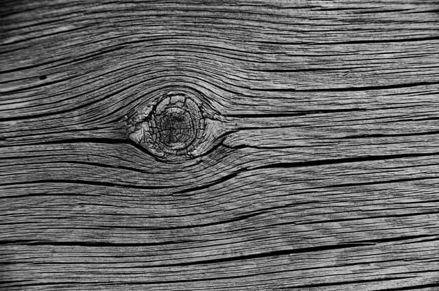 Macro view of a piece of dead tree by drought