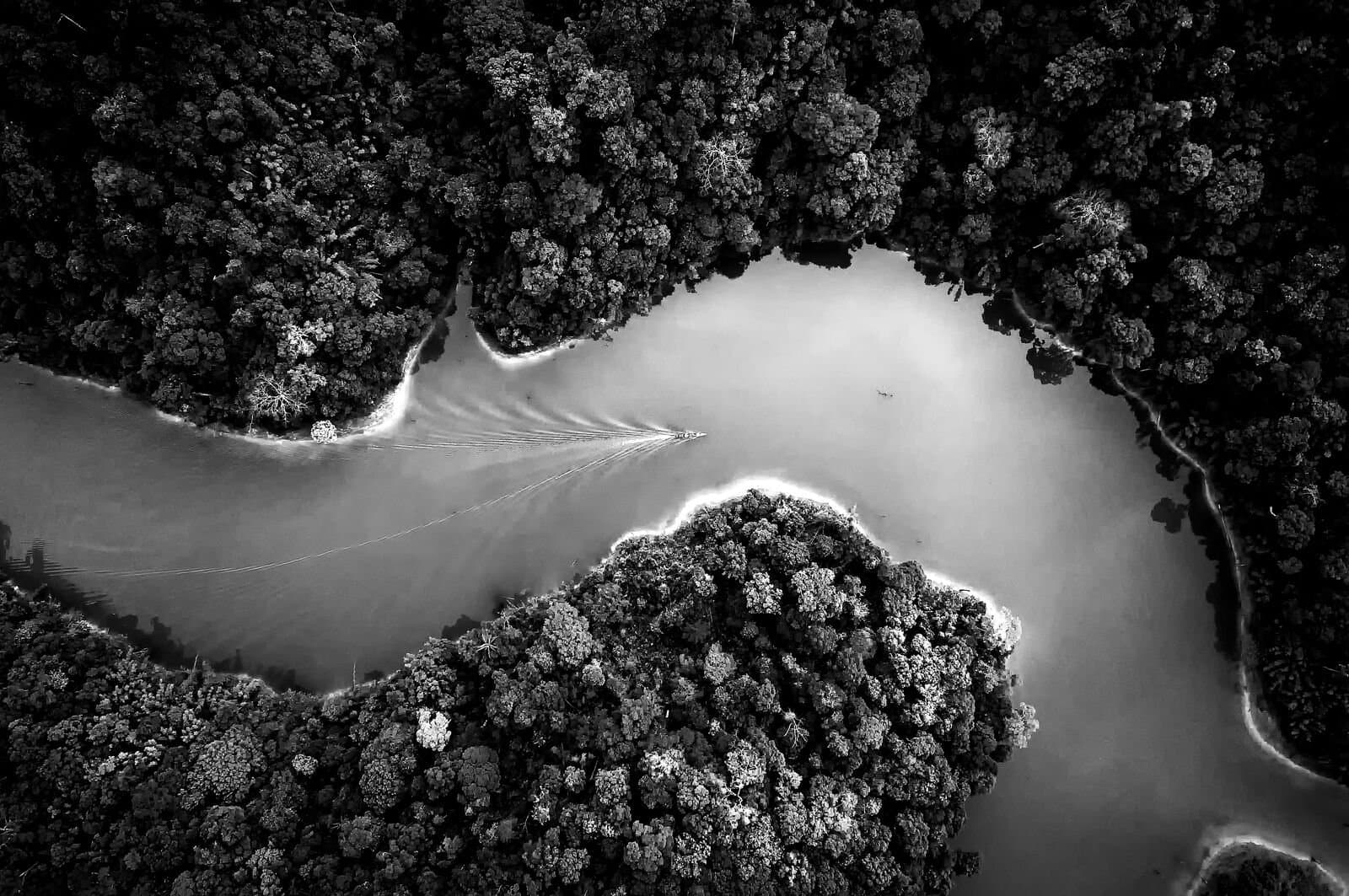 The boat drove through the canal along the dam amidst the richness of the forest.